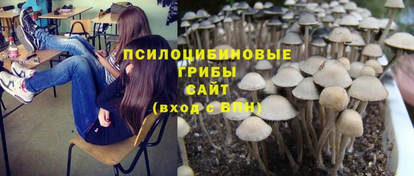 экстази Богданович