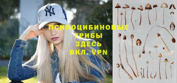 а пвп мука Богородицк