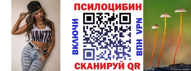 Псилоцибиновые грибы Psilocybe  Купить  Кемь 